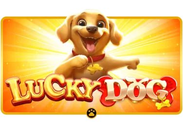 n52apk Casino APP မိုဘိုင်းဖုန်းဖြင့် Live Baccarat ကစားနေသောမြင်ကွင်း